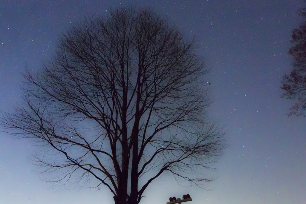 Minami Aso Luna Observatory Auberge Mori No Atelier Minamiaso Exteriér fotografie